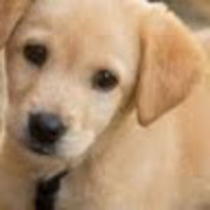 Meet your Posher, Student erika